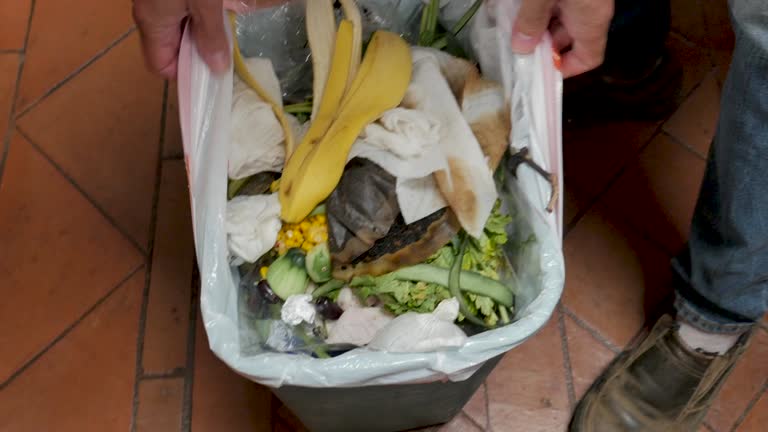 Best Recycling Services for Junk  in Aquia Harbour, VA
